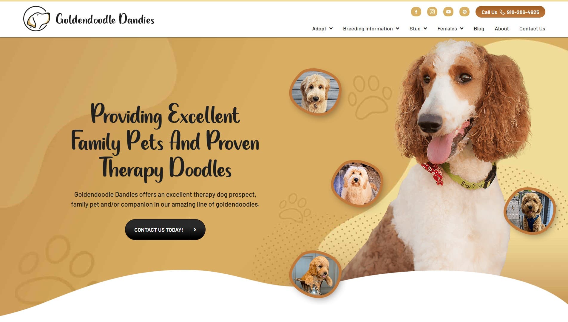 Dog breeder website showcasing puppies and inquiry sections